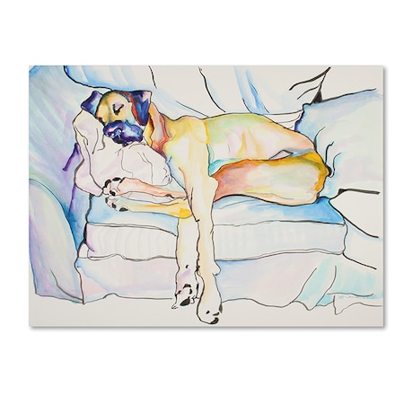 Pat Saunders-White 'Sleeping Beauty' Canvas Art,18x24
